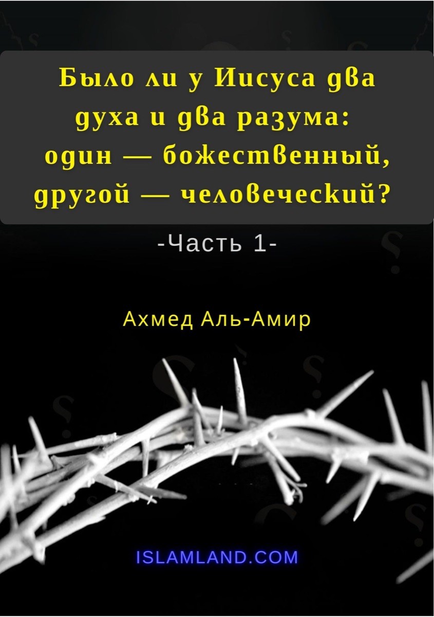 Было ли у Иисуса два духа и два разума: один — божественный, другой — человеческий?